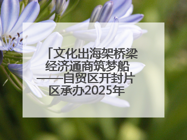 文化出海架桥梁 经济通商筑梦船——自贸区开封片区承办2025年匈牙利文旅交流对接活动专场
