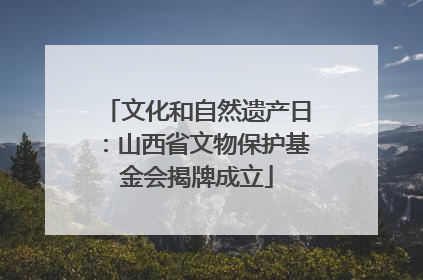 文化和自然遗产日：山西省文物保护基金会揭牌成立