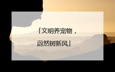 文明养宠物，蔚然树新风