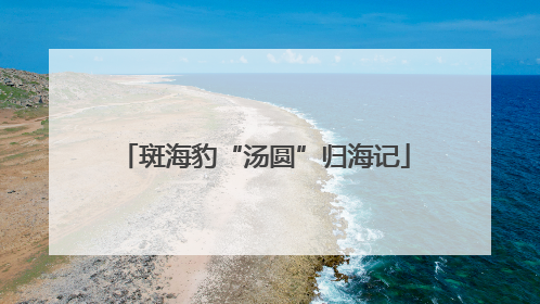 斑海豹“汤圆”归海记