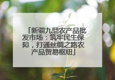 新疆九鼎农产品批发市场：筑牢民生保障，打通丝绸之路农产品贸易枢纽