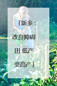 新乡：改良障碍田 低产变高产