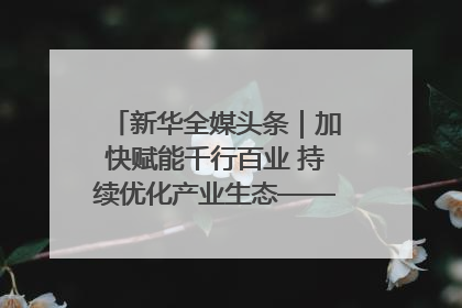 新华全媒头条｜加快赋能千行百业 持续优化产业生态——浙江推动人工智能健康有序发展观察