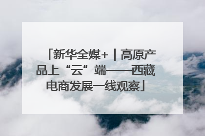 新华全媒+｜高原产品上“云”端——西藏电商发展一线观察