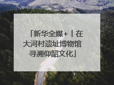 新华全媒+丨在大河村遗址博物馆寻溯仰韶文化