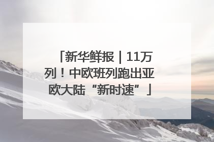 新华鲜报｜11万列！中欧班列跑出亚欧大陆“新时速”