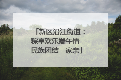 新区沿江街道：粽享欢乐端午情 民族团结一家亲