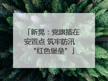 新晃：党旗插在安置点 筑牢防汛“红色堡垒”