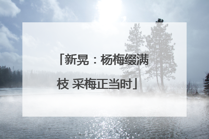 新晃：杨梅缀满枝 采梅正当时
