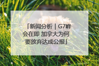 新闻分析｜G7峰会在即 加拿大为何要放弃达成公报