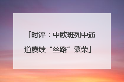 时评：中欧班列中通道赓续“丝路”繁荣
