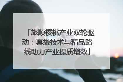 旅顺樱桃产业双轮驱动：套袋技术与精品路线助力产业提质增效