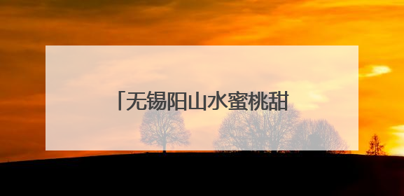 无锡阳山水蜜桃甜蜜上市 最快48小时送达东南亚国家