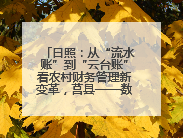 日照：从“流水账”到“云台账”看农村财务管理新变革，莒县——数字赋能激活乡村振兴“一池春水”