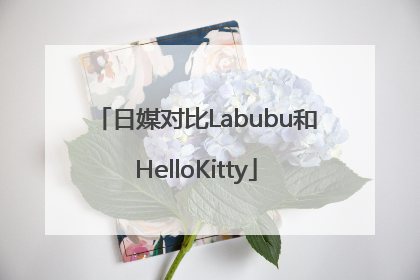 日媒对比Labubu和HelloKitty