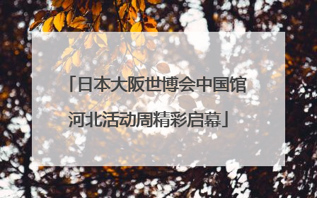 日本大阪世博会中国馆河北活动周精彩启幕