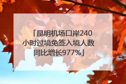 昆明机场口岸240小时过境免签入境人数同比增长977%