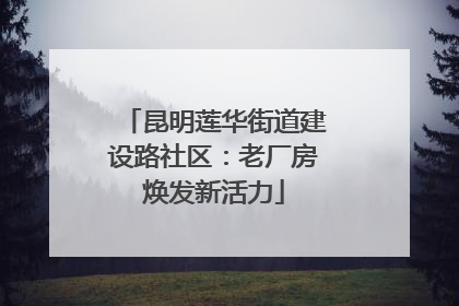 昆明莲华街道建设路社区：老厂房焕发新活力