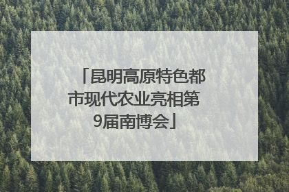 昆明高原特色都市现代农业亮相第9届南博会