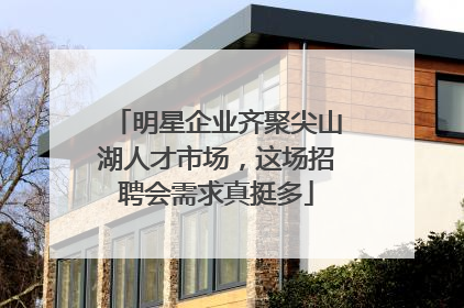 明星企业齐聚尖山湖人才市场，这场招聘会需求真挺多