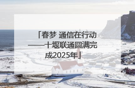 春梦 通信在行动——十堰联通圆满完成2025年