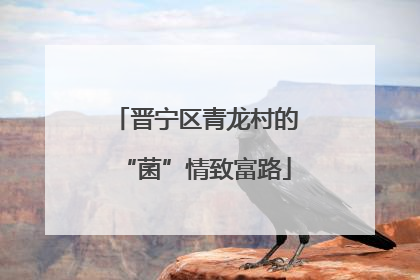 晋宁区青龙村的“菌”情致富路