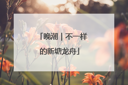 晚潮｜不一样的新塘龙舟