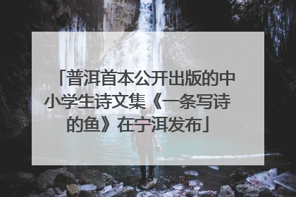 普洱首本公开出版的中小学生诗文集《一条写诗的鱼》在宁洱发布
