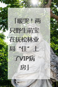暖哭！两只野生萌宝在抚松林业局“住”上了VIP病房