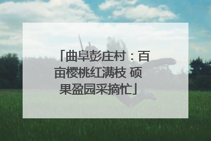 曲阜彭庄村：百亩樱桃红满枝 硕果盈园采摘忙