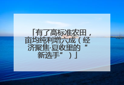 有了高标准农田，亩均纯利增六成（经济聚焦·夏收里的“新选手”）