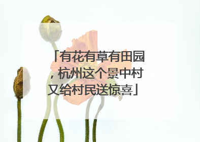 有花有草有田园，杭州这个景中村又给村民送惊喜