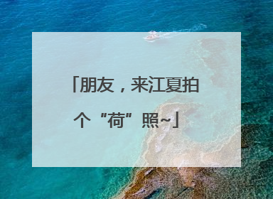 朋友，来江夏拍个“荷”照~