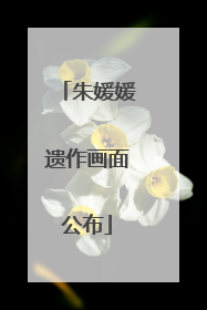朱媛媛遗作画面公布