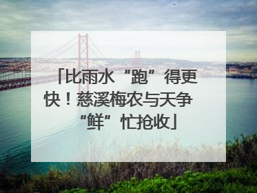 比雨水“跑”得更快！慈溪梅农与天争“鲜”忙抢收