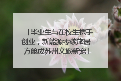 毕业生与在校生携手创业，新能源零碳旅居方舱成苏州文旅新宠