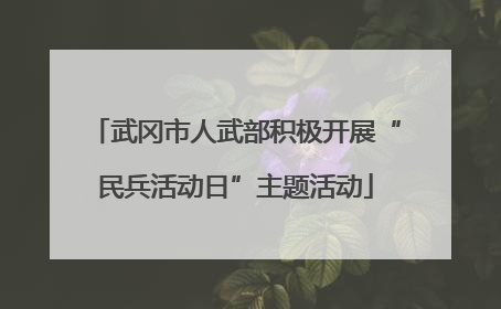武冈市人武部积极开展“民兵活动日”主题活动