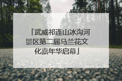 武威祁连山冰沟河景区第二届马兰花文化嘉年华启幕