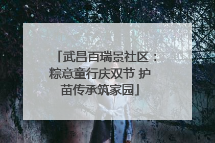 武昌百瑞景社区：粽意童行庆双节 护苗传承筑家园