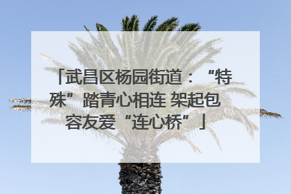 武昌区杨园街道：“特殊”踏青心相连 架起包容友爱“连心桥”