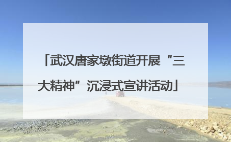 武汉唐家墩街道开展“三大精神”沉浸式宣讲活动