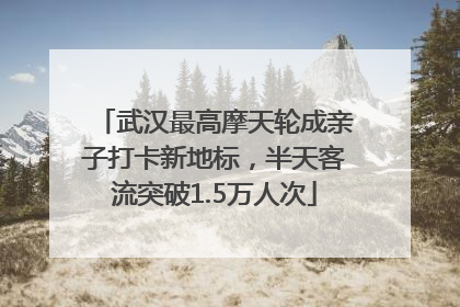 武汉最高摩天轮成亲子打卡新地标，半天客流突破1.5万人次