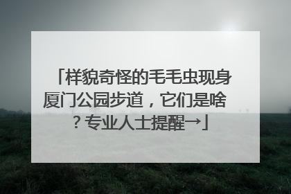 样貌奇怪的毛毛虫现身厦门公园步道，它们是啥？专业人士提醒→