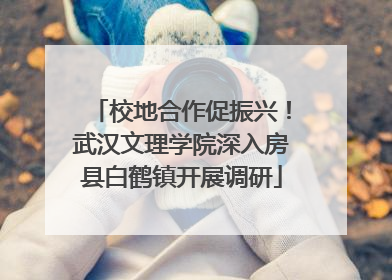 校地合作促振兴！武汉文理学院深入房县白鹤镇开展调研