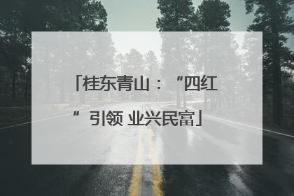 桂东青山：“四红”引领 业兴民富