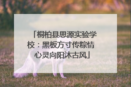 桐柏县思源实验学校：黑板方寸传粽情 心灵向阳沐古风