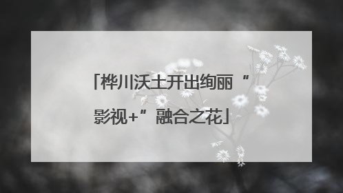 桦川沃土开出绚丽“影视+”融合之花