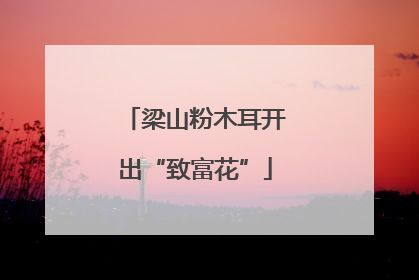 梁山粉木耳开出“致富花”