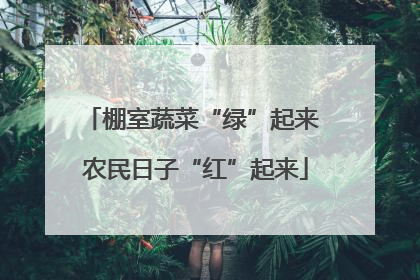 棚室蔬菜“绿”起来 农民日子“红”起来
