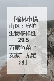 榆林市横山区：守护生物多样性 29.5万尾鱼苗“安家”无定河